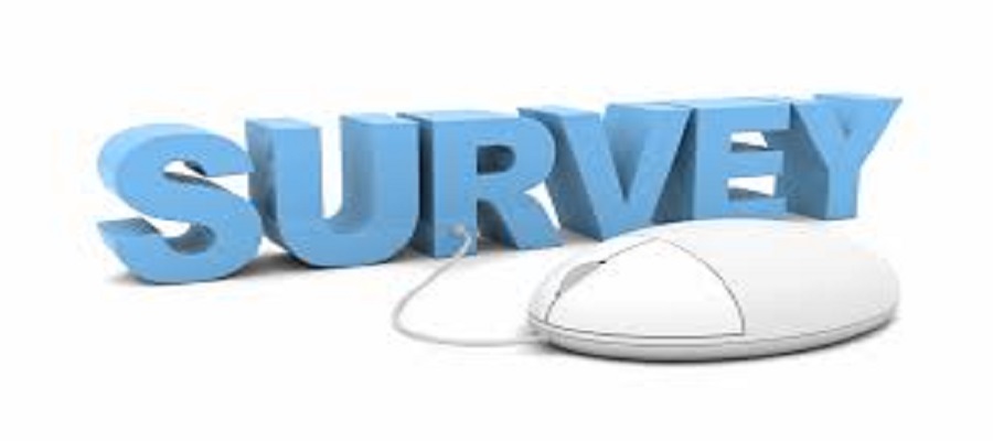 Create Leads with an Effective Online Survey software in Pakistan