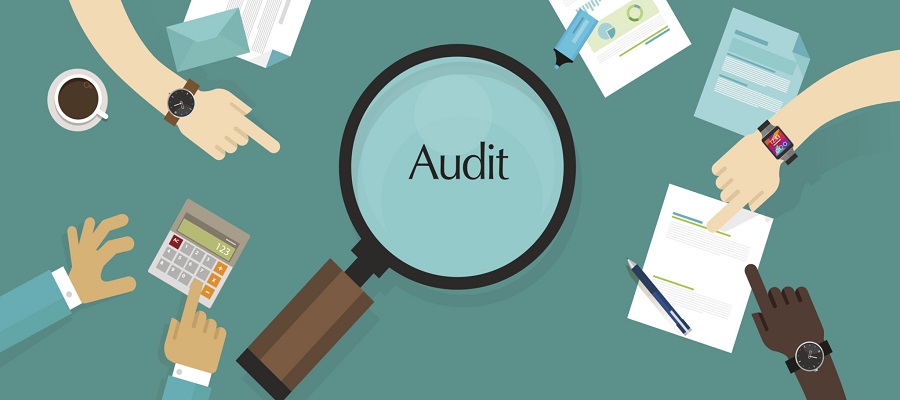 How Field Audit Software in Pakistan Improves Efficiency and Collaboration in your Business 