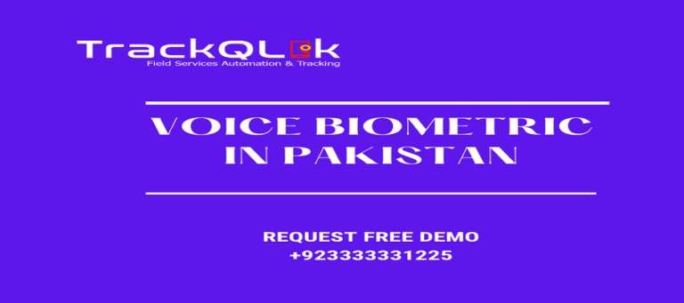 How Does Voice Biometric in Pakistan Work In Customer Experience