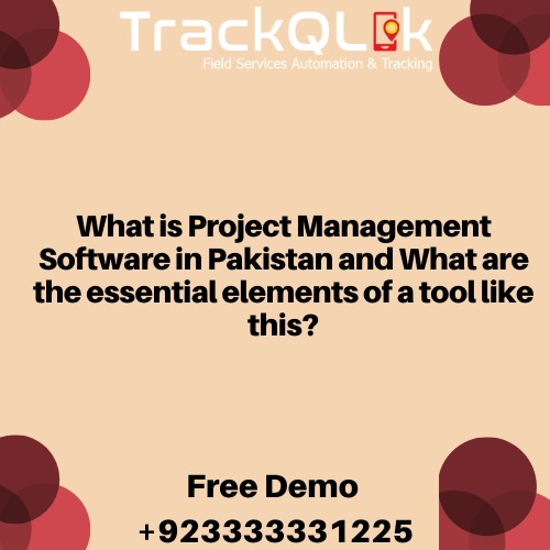 What is Project Management Software in Pakistan and What are the essential elements of a tool like this?